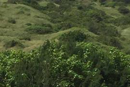 Excellent Plot of land for sale in St Andrew Barbados Excellent Plot of land for sale in St Andrew Barbados