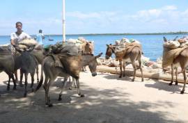 Luxury 3 Bed Villa for Sale in Lamu Town Kenya