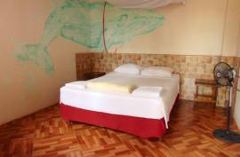 Stunning Hostel Coco Loco For Sale in Canoa Ecuador Stunning Hostel Coco Loco For Sale in Canoa Ecuador
