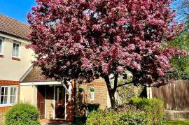 Residential 2 Bed Semi Detached House For Sale in Sutton London UK Residential 2 Bed Semi Detached House For Sale in Sutton London UK