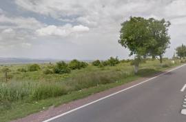 Excellent Plot of Commercial Land for sale in Danube Delta Romania Excellent Plot of Commercial Land for sale in Danube Delta Romania