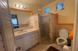 Excellent 6 beds 2 Houses & Apartment For Sale in LA FLORESTA AJIJIC Mexico