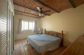 Excellent 6 beds 2 Houses & Apartment For Sale in LA FLORESTA AJIJIC Mexico