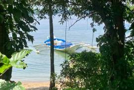 Excellent Plot of land for sale in Puerto Galera The Philippines