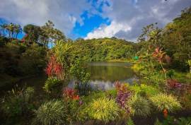 Excellent Commercial Villa B&B & Restaurant For Sale in Costa Rica Excellent Commercial Villa B&B & Restaurant For Sale in Costa Rica