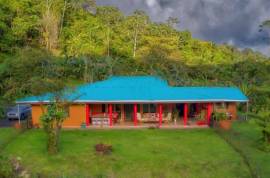 Excellent Commercial Villa B&B & Restaurant For Sale in Costa Rica Excellent Commercial Villa B&B & Restaurant For Sale in Costa Rica