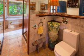 Excellent Commercial Villa B&B & Restaurant For Sale in Costa Rica Excellent Commercial Villa B&B & Restaurant For Sale in Costa Rica