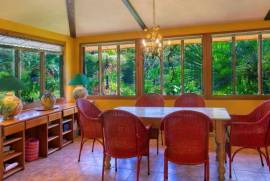Excellent Commercial Villa B&B & Restaurant For Sale in Costa Rica Excellent Commercial Villa B&B & Restaurant For Sale in Costa Rica