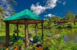 Excellent Commercial Villa B&B & Restaurant For Sale in Costa Rica Excellent Commercial Villa B&B & Restaurant For Sale in Costa Rica
