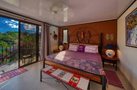 Excellent Commercial Villa B&B & Restaurant For Sale in Costa Rica Excellent Commercial Villa B&B & Restaurant For Sale in Costa Rica