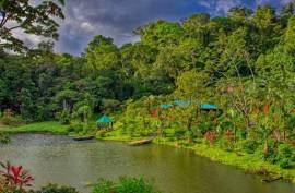 Excellent Commercial Villa B&B & Restaurant For Sale in Costa Rica Excellent Commercial Villa B&B & Restaurant For Sale in Costa Rica