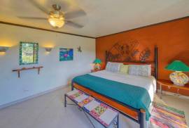 Excellent Commercial Villa B&B & Restaurant For Sale in Costa Rica Excellent Commercial Villa B&B & Restaurant For Sale in Costa Rica