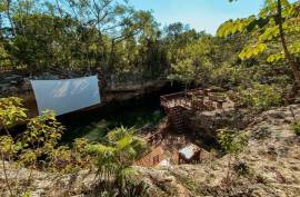 Vida Jungle Resort For Sale in San Martin Quintana Roo Mexico Vida Jungle Resort For Sale in San Martin Quintana Roo Mexico