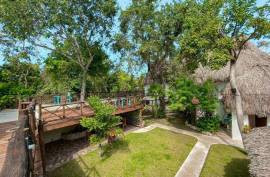 Vida Jungle Resort For Sale in San Martin Quintana Roo Mexico Vida Jungle Resort For Sale in San Martin Quintana Roo Mexico