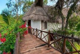 Vida Jungle Resort For Sale in San Martin Quintana Roo Mexico Vida Jungle Resort For Sale in San Martin Quintana Roo Mexico