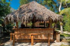 Vida Jungle Resort For Sale in San Martin Quintana Roo Mexico Vida Jungle Resort For Sale in San Martin Quintana Roo Mexico