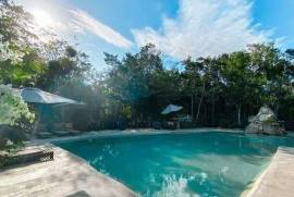 Vida Jungle Resort For Sale in San Martin Quintana Roo Mexico Vida Jungle Resort For Sale in San Martin Quintana Roo Mexico