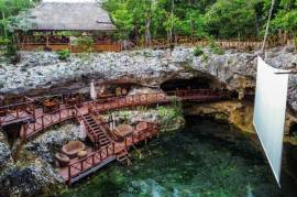 Vida Jungle Resort For Sale in San Martin Quintana Roo Mexico Vida Jungle Resort For Sale in San Martin Quintana Roo Mexico