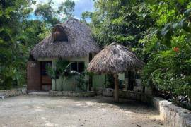 Vida Jungle Resort For Sale in San Martin Quintana Roo Mexico Vida Jungle Resort For Sale in San Martin Quintana Roo Mexico