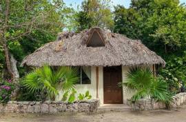 Vida Jungle Resort For Sale in San Martin Quintana Roo Mexico Vida Jungle Resort For Sale in San Martin Quintana Roo Mexico