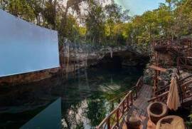 Vida Jungle Resort For Sale in San Martin Quintana Roo Mexico Vida Jungle Resort For Sale in San Martin Quintana Roo Mexico
