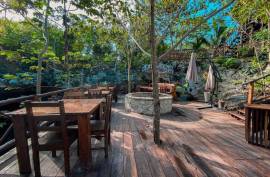 Vida Jungle Resort For Sale in San Martin Quintana Roo Mexico Vida Jungle Resort For Sale in San Martin Quintana Roo Mexico