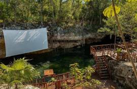 Vida Jungle Resort For Sale in San Martin Quintana Roo Mexico Vida Jungle Resort For Sale in San Martin Quintana Roo Mexico