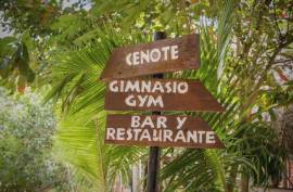 Vida Jungle Resort For Sale in San Martin Quintana Roo Mexico Vida Jungle Resort For Sale in San Martin Quintana Roo Mexico