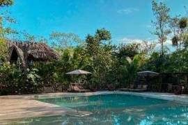 Vida Jungle Resort For Sale in San Martin Quintana Roo Mexico Vida Jungle Resort For Sale in San Martin Quintana Roo Mexico