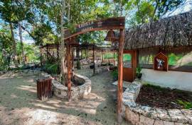 Vida Jungle Resort For Sale in San Martin Quintana Roo Mexico Vida Jungle Resort For Sale in San Martin Quintana Roo Mexico