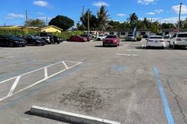 Commercial Shopping Centre For Sale in Miami Florida USA