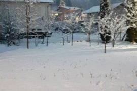 Luxury Villa For Sale & Renovation in Borsa Romania Luxury Villa For Sale & Renovation in Borsa Romania