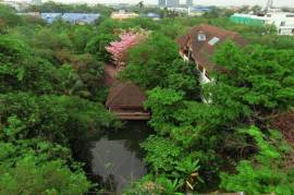 3 Houses For Sale in 9 Acres of Land Bangkok Thailand