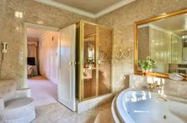 Luxury 4 Bed Villa Set IN 5 Acres For Sale in Bryanston Sandton JOHANNESBURG South Africa