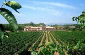 Stunning 3 Bedroom Leaseback Apartment For Sale In Chateau De Jouarres Azille Languedoc-Roussillion France Stunning 3 Bedroom Leaseback Apartment For Sale In Chateau De Jouarres Azille Languedoc-Roussillion France