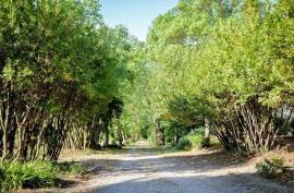 Stunning 3 Bedroom Leaseback Apartment For Sale In Chateau De Jouarres Azille Languedoc-Roussillion France Stunning 3 Bedroom Leaseback Apartment For Sale In Chateau De Jouarres Azille Languedoc-Roussillion France