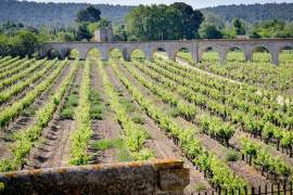 Stunning 3 Bedroom Leaseback Apartment For Sale In Chateau De Jouarres Azille Languedoc-Roussillion France Stunning 3 Bedroom Leaseback Apartment For Sale In Chateau De Jouarres Azille Languedoc-Roussillion France