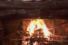 Restaurant and Apartment For Sale in Marciana Elba Island Tuscany Italy Restaurant and Apartment For Sale in Marciana Elba Island Tuscany Italy