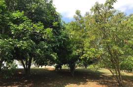 2 Superb Properties and Huge Plot of Land for Sale in Macuelizo Honduras 2 Superb Properties and Huge Plot of Land for Sale in Macuelizo Honduras