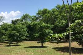 2 Superb Properties and Huge Plot of Land for Sale in Macuelizo Honduras 2 Superb Properties and Huge Plot of Land for Sale in Macuelizo Honduras