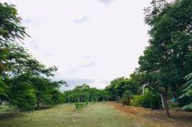 2 Superb Properties and Huge Plot of Land for Sale in Macuelizo Honduras 2 Superb Properties and Huge Plot of Land for Sale in Macuelizo Honduras