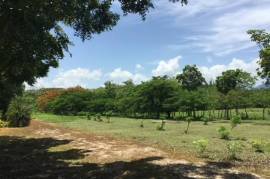 2 Superb Properties and Huge Plot of Land for Sale in Macuelizo Honduras 2 Superb Properties and Huge Plot of Land for Sale in Macuelizo Honduras