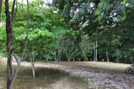 2 Superb Properties and Huge Plot of Land for Sale in Macuelizo Honduras 2 Superb Properties and Huge Plot of Land for Sale in Macuelizo Honduras