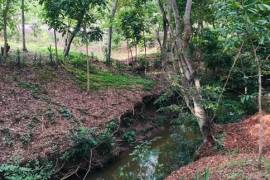 2 Superb Properties and Huge Plot of Land for Sale in Macuelizo Honduras 2 Superb Properties and Huge Plot of Land for Sale in Macuelizo Honduras