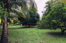 2 Superb Properties and Huge Plot of Land for Sale in Macuelizo Honduras 2 Superb Properties and Huge Plot of Land for Sale in Macuelizo Honduras