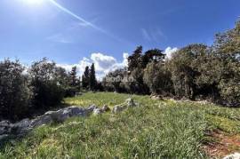 BUILDING LAND WITH A TOTAL AREA OF 685 m2, UGLJAN -VAROŠ AREA, UGLJAN ISLAND