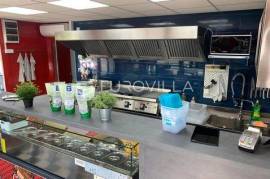 Zagreb, Savska cesta, excellent street shop 45 m² with terrace