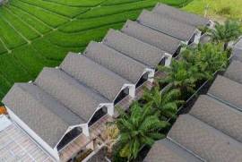 Canggu Boutique Townhouses