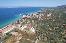 Plot 660 sq.m.