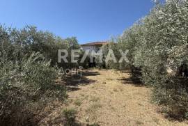 Plot 600 sq.m for sale